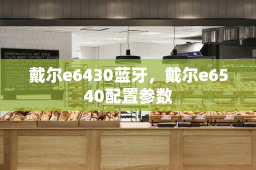 戴尔e6430蓝牙，戴尔e6540配置参数-第1张图片-星选测评