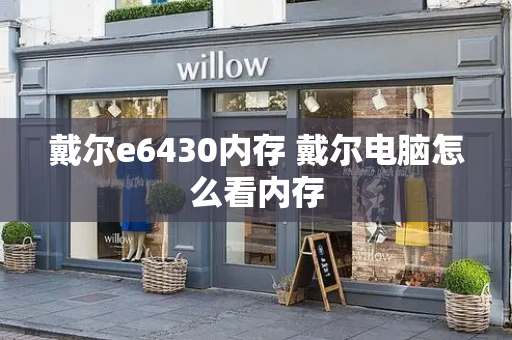 戴尔e6430内存 戴尔电脑怎么看内存