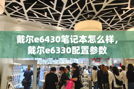 戴尔e6430笔记本怎么样，戴尔e6330配置参数-第1张图片-星选测评