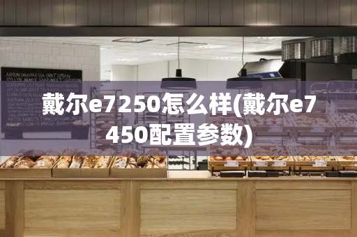 戴尔e7250怎么样(戴尔e7450配置参数)-第1张图片-星选测评
