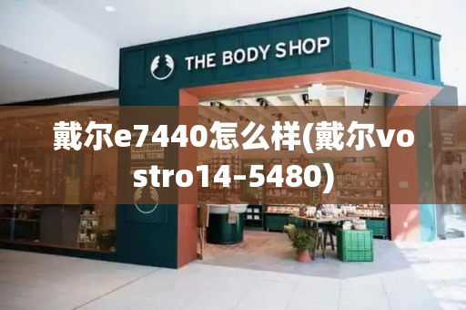 戴尔e7440怎么样(戴尔vostro14–5480)