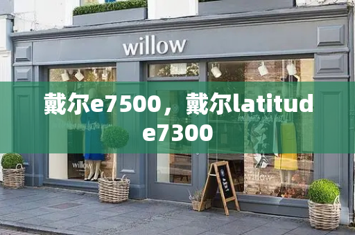 戴尔e7500，戴尔latitude7300