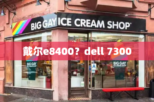 戴尔e8400？dell 7300