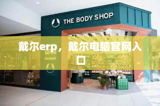 戴尔erp，戴尔电脑官网入口-第1张图片-星选测评