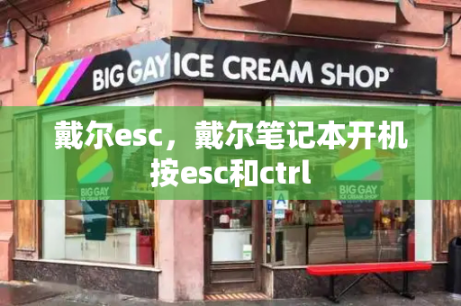 戴尔esc，戴尔笔记本开机按esc和ctrl-第1张图片-星选测评