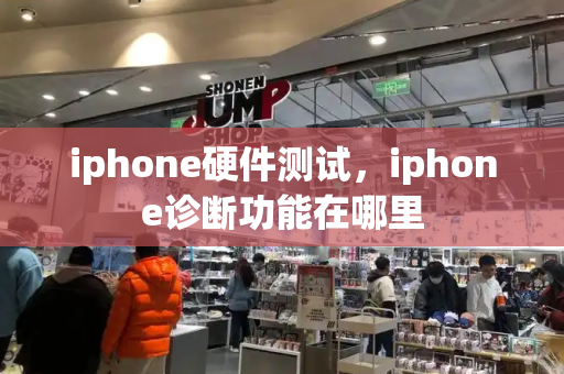 iphone硬件测试，iphone诊断功能在哪里