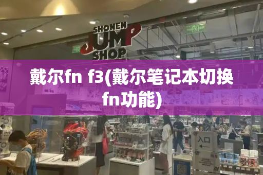 戴尔fn f3(戴尔笔记本切换fn功能)-第1张图片-星选测评