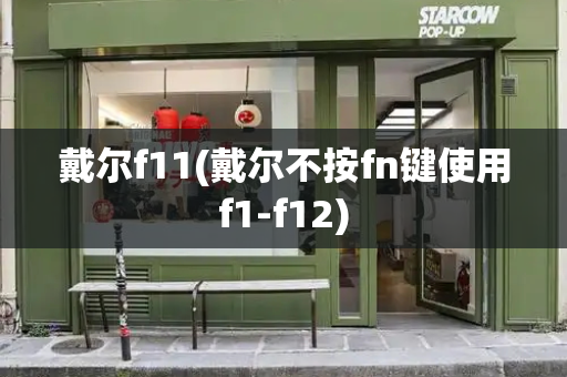 戴尔f11(戴尔不按fn键使用f1-f12)-第1张图片-星选测评
