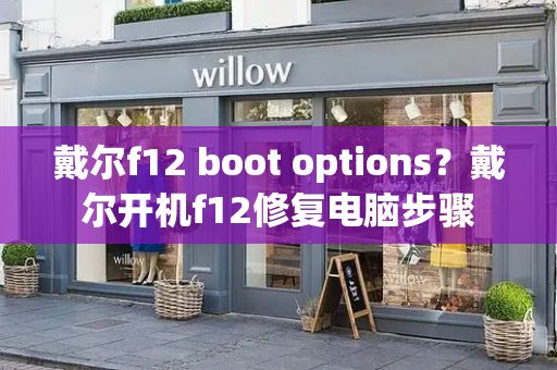 戴尔f12 boot options？戴尔开机f12修复电脑步骤-第1张图片-星选测评