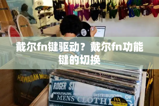 戴尔fn键驱动？戴尔fn功能键的切换