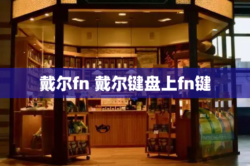 戴尔fn 戴尔键盘上fn键-第1张图片-星选测评