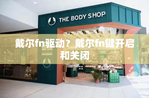 戴尔fn驱动？戴尔fn键开启和关闭-第1张图片-星选测评