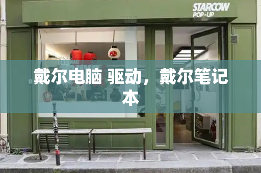 戴尔电脑 驱动，戴尔笔记本-第1张图片-星选测评