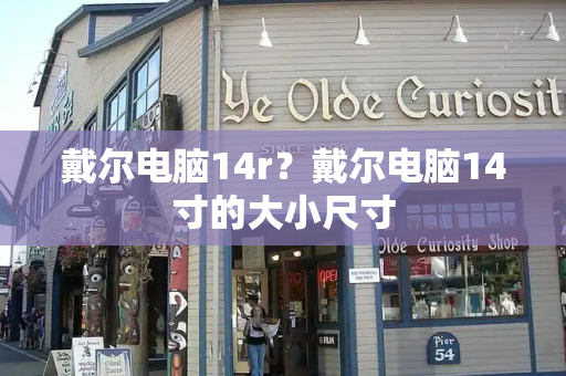 戴尔电脑14r？戴尔电脑14寸的大小尺寸-第1张图片-星选测评