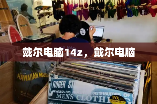 戴尔电脑14z，戴尔电脑-第1张图片-星选测评