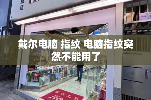 戴尔电脑 指纹 电脑指纹突然不能用了