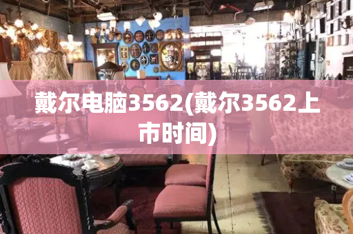 戴尔电脑3562(戴尔3562上市时间)-第1张图片-星选测评
