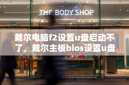 戴尔电脑f2设置u盘启动不了，戴尔主板bios设置u盘启动