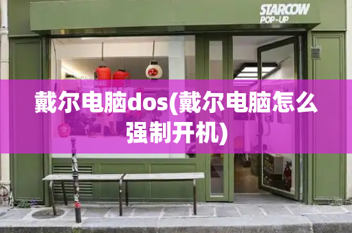 戴尔电脑dos(戴尔电脑怎么强制开机)-第1张图片-星选测评