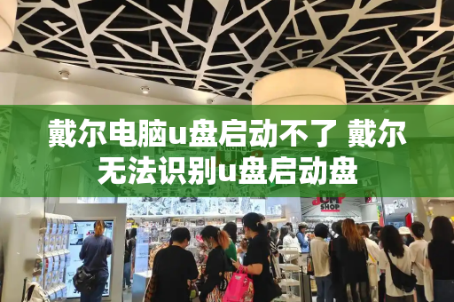 戴尔电脑u盘启动不了 戴尔无法识别u盘启动盘-第1张图片-星选测评