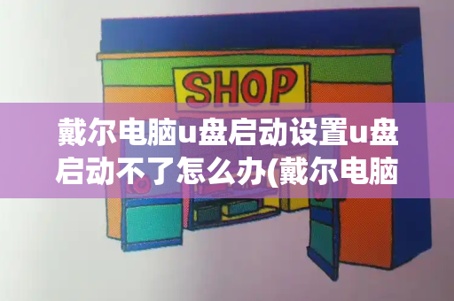 戴尔电脑u盘启动设置u盘启动不了怎么办(戴尔电脑怎么用u盘启动)