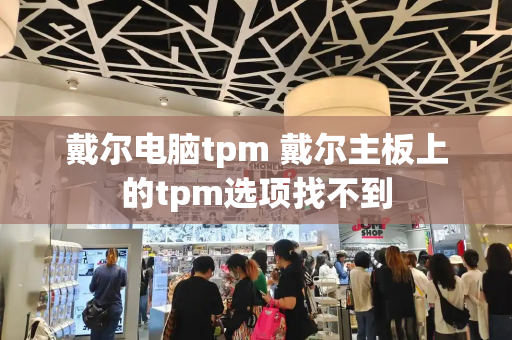 戴尔电脑tpm 戴尔主板上的tpm选项找不到