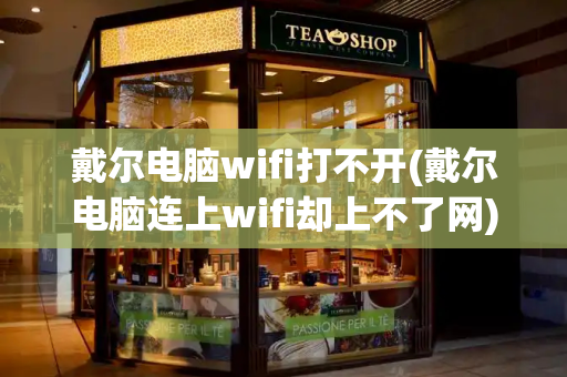戴尔电脑wifi打不开(戴尔电脑连上wifi却上不了网)