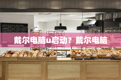 戴尔电脑u启动？戴尔电脑
