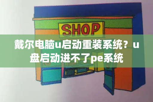 戴尔电脑u启动重装系统？u盘启动进不了pe系统