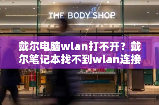 戴尔电脑wlan打不开？戴尔笔记本找不到wlan连接选项-第1张图片-星选测评