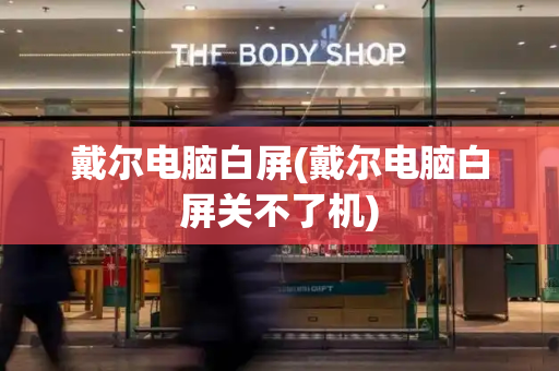 戴尔电脑白屏(戴尔电脑白屏关不了机)-第1张图片-星选测评