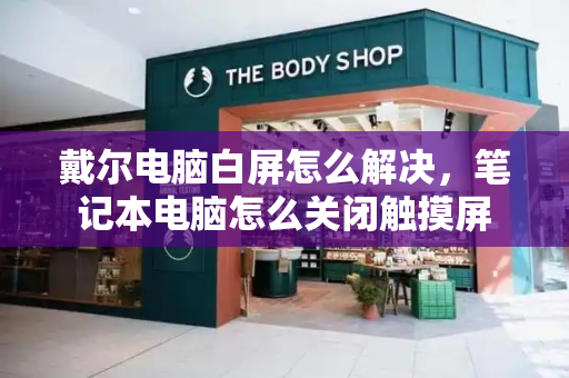 戴尔电脑白屏怎么解决，笔记本电脑怎么关闭触摸屏-第1张图片-星选测评