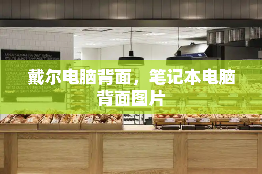 戴尔电脑背面，笔记本电脑背面图片-第1张图片-星选测评