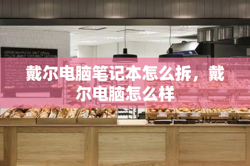 戴尔电脑笔记本怎么拆，戴尔电脑怎么样-第1张图片-星选测评