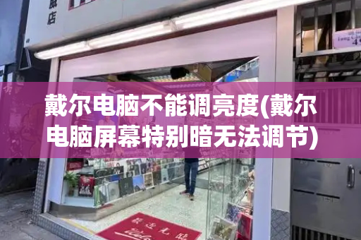 戴尔电脑不能调亮度(戴尔电脑屏幕特别暗无法调节)-第1张图片-星选测评