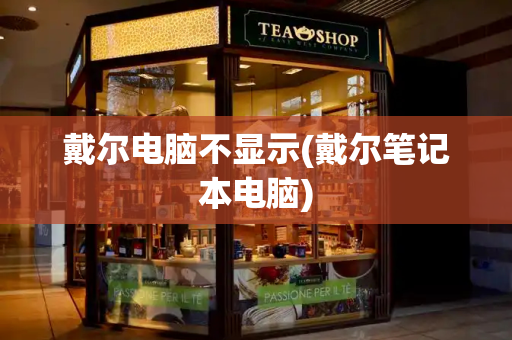 戴尔电脑不显示(戴尔笔记本电脑)-第1张图片-星选测评