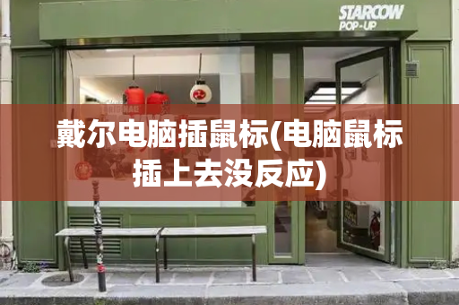 戴尔电脑插鼠标(电脑鼠标插上去没反应)