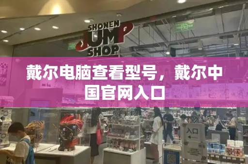 戴尔电脑查看型号，戴尔中国官网入口-第1张图片-星选测评