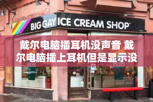 戴尔电脑插耳机没声音 戴尔电脑插上耳机但是显示没有插上-第1张图片-星选测评