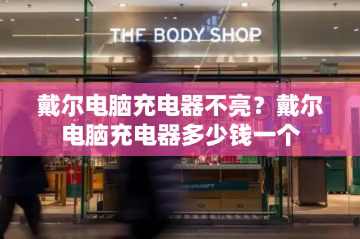 戴尔电脑充电器不亮？戴尔电脑充电器多少钱一个-第1张图片-星选测评