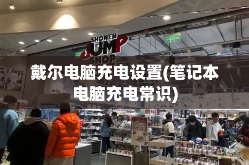 戴尔电脑充电设置(笔记本电脑充电常识)-第1张图片-星选测评