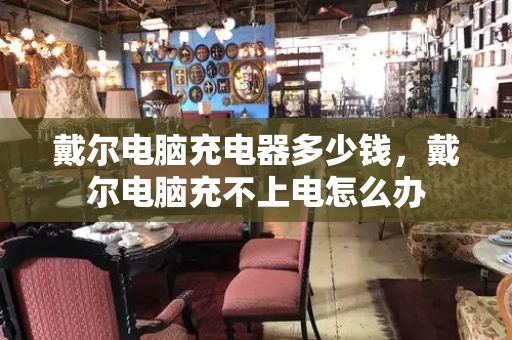 戴尔电脑充电器多少钱，戴尔电脑充不上电怎么办