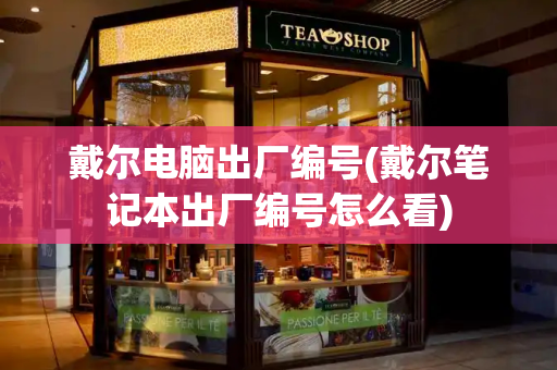 戴尔电脑出厂编号(戴尔笔记本出厂编号怎么看)