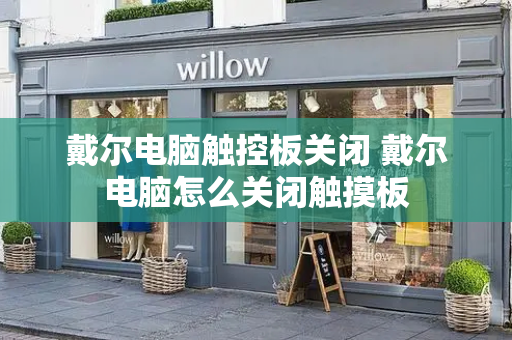 戴尔电脑触控板关闭 戴尔电脑怎么关闭触摸板-第1张图片-星选测评