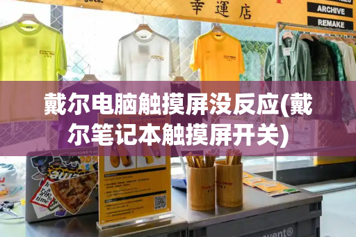 戴尔电脑触摸屏没反应(戴尔笔记本触摸屏开关)