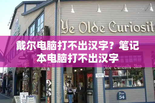 戴尔电脑打不出汉字？笔记本电脑打不出汉字-第1张图片-星选测评