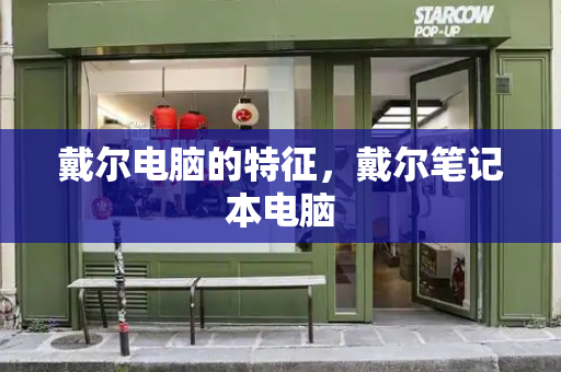 戴尔电脑的特征，戴尔笔记本电脑-第1张图片-星选测评