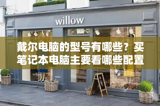 戴尔电脑的型号有哪些？买笔记本电脑主要看哪些配置-第1张图片-星选测评
