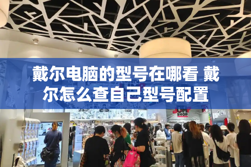 戴尔电脑的型号在哪看 戴尔怎么查自己型号配置-第1张图片-星选测评