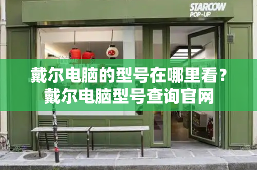 戴尔电脑的型号在哪里看？戴尔电脑型号查询官网-第1张图片-星选测评